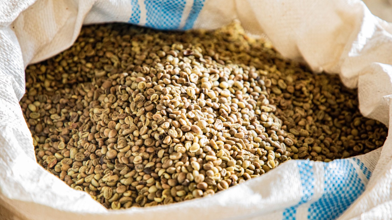 Coffee Processing